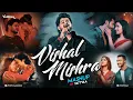 Lagu Vishal Mishra Mashup 2025 | Tattvaa | Best of Vishal Mishra | Pehle Bhi Main | Bollywood Lofi