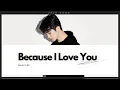 Mark Lee (NCT) - Because I Love You (사랑하기 때문에) Cover Lyric (Rom/Indo/Eng)