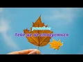 paashee - Тебе це не стосується (лірик відео) 4К