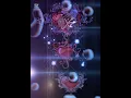 Download Lagu https://youtu.be/Rai9MDK5QJU?si=aMIdp9-l0yLvRNn3