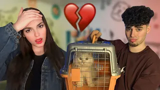 قررت أبيع القط اللي جابتهولي قطعت علاقتها بيا مؤثر 