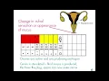 19 Minute Spanish