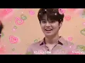 ji jin seok animal crossing edit♡