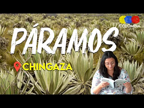 Paramos of Colombia | High-Altitude Ecosystems Guide