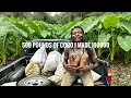 500 POUND OF COCO SELLING THIS WHAT I MADE OUT OF IT