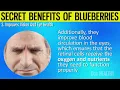 Eating Blueberries Daily Before Bed Will Trigger These 10 Things To Your Body (Blueberries Benefits)