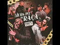 Meus Pit de Raça