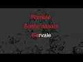 Download Lagu Romale  soske  sam ajse čorore   Gypsy Karaoke  (Cover)
