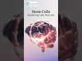 The Power of to Replace Lost Neurons