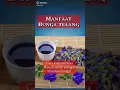 Download Lagu Manfaat bunga telang dan cara konsumsinya #manfaat #kesehatan #bungatelang #berbagiituindah