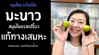 ทำไมน้ำมะนาวถึงช่วยแก้ไอและขับเสมหะได้