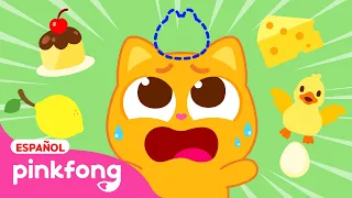 ¿Has Visto a Mi Mo?🐱 | ¿Dónde esta mi Mo?🔎 | Canciones Pop Latino de Ninimo | Pinkfong en español