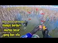 Lagu SEKALI KETEMU TITIK KUMPULNYA IKAN NILA PASTI GAK BERHENTI MAKAN UMPAN || mancing ikan nila WGM
