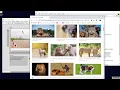 72 Deep Learning Object Detection using Vision Development Module for LabVIEW