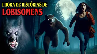 A NOITE DO LOBISOMEM OS MELHORES CAUSOS