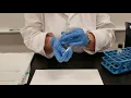 Indole Test