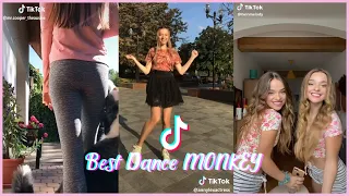 Download THE BEST TIKTOK CHALLENGE  DANCE MONKEY MP3