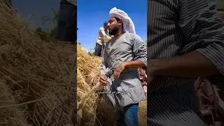 عشمان في مين ياحزين المنشد احمد حسن الاقصري 