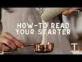 Is Your Sourdough Starter Ready Here s How to Know