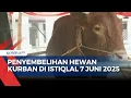 Download Lagu Sapi Prabowo dan Gibran Diserahkan ke Istiqlal, Penyembelihan Hewan Kurban Dilakukan 7 Juni 2025