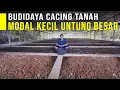 Download Lagu Ide Usaha Budidaya Cacing Tanah Modal Kecil Untung Besar