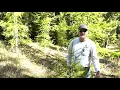 Manley Jobs A Day with a Forester