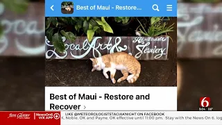 Tulsa Woman Uses Her Popular Maui Facebook Page To Help Anyone Impacted By Hawaii Wildfires 