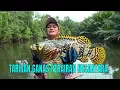 Download Lagu [FULL] TARIKAN GANAS PERAIRAN NUSANTARA | MANCING MANIA STRIKE BACK (10/08/25)