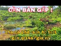Lagu ( CẦN BÁN ) 1HA CÀ PHÊ CÓ HỒ TƯỚI GẦN QL14A GIÁ RẺ