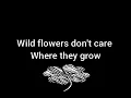 Lagu NUNUI - Wild Flowers (cover)