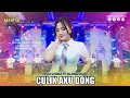 Download Lagu intan afifah - culik aku dong | mahesa music