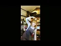 【歌ってみた】ワンコーラス 浜田麻里/Tomorrow Never Dies