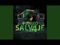 Download Lagu Mix Perreo Salvaje