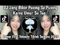 Download Lagu DJ JANG BIKIN PUSING SA PUSING KARNA UMUR SU TUA || DJ NGAPAIN REPOT VIRAL VELOCITY TIKTOK TERBARU 