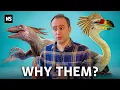Why Birds Are The Only Surviving Dinosaurs