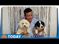 Dog Appears to Defuse Dynamite Thrown Near Journalist s Home