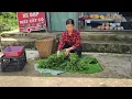 Download Lagu single mothers harvest wild vegetables to sell, live with nature ||@lytieusao98-yo5ne