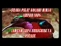 Download Lagu Suara pikat kolibri ninja ampuh 100%