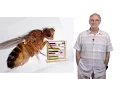 Lagu Michael Rosbash (Brandeis): Understanding Circadian Rhythms