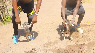nyanda mayeka ngikulu official video2022 dir d frank