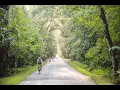 Discover Uncrowded Natural Florida in Sebring