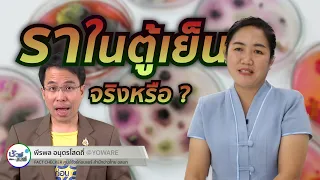 เชื้อราในตู้เย็นเกิดจากอะไรบ้าง