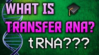 What is tRNA
