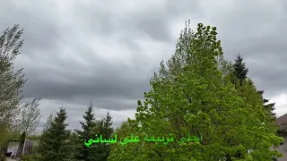 ترنيمة مسيحي خلي وزي ضلي ل صوت بيرنم في البرية 