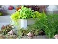 How to Build a Planter Box for Curb Appeal