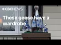Porch geese get sweet get ups