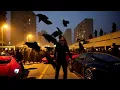 Paves 16 - Nix ist für Immer (Official Audio)