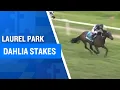 2025 100 000 Dahlia Stakes at Laurel Park
