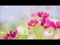 Download Lagu hanya engkau milikku - Nie Wie She Mou MP3