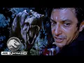 Lagu Jurassic Park | Escaping the Tree and a T. rex Chase